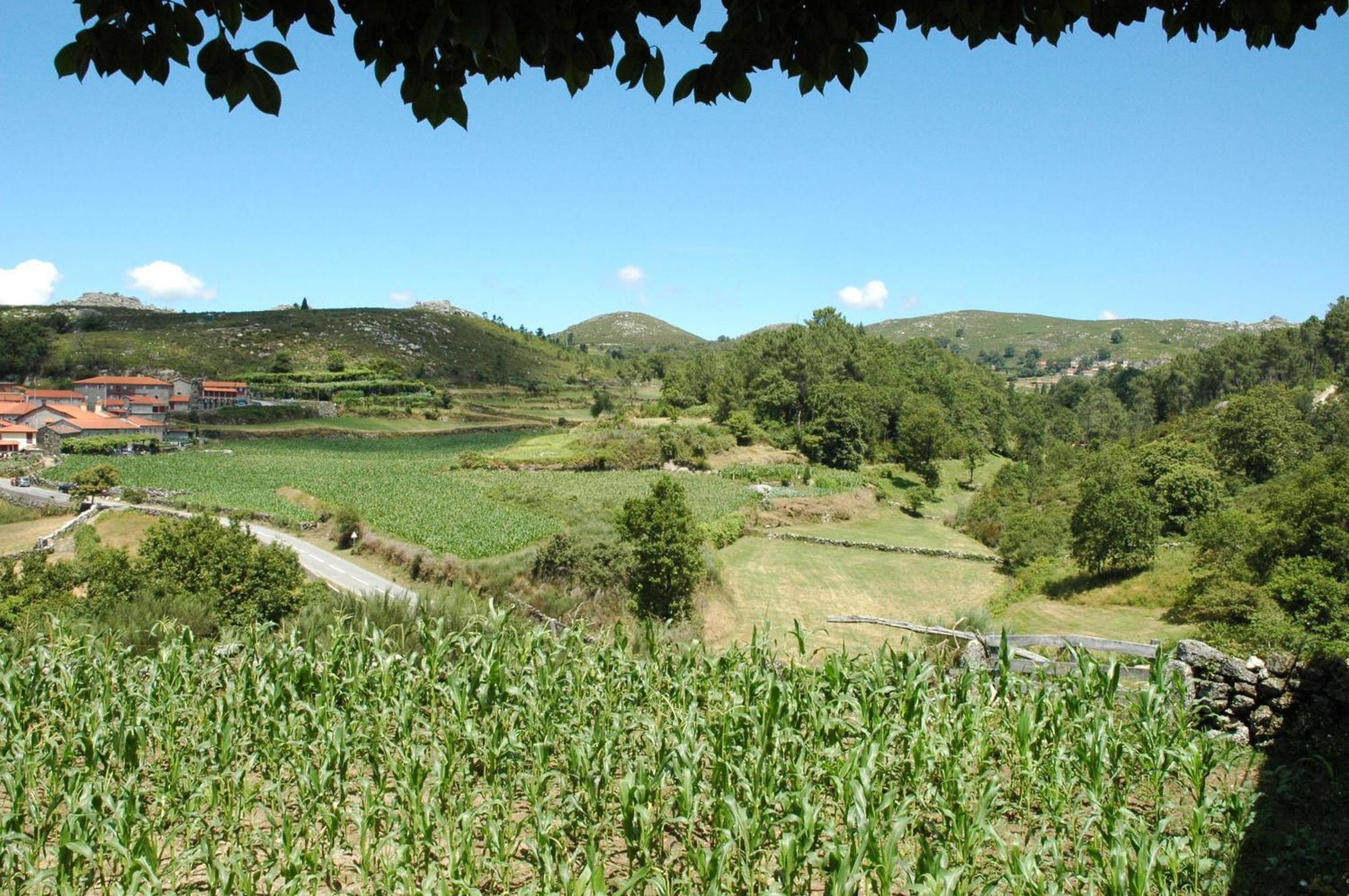 בית הארחה טראס דה בורו 	Casa De Campo Monte Abades מראה חיצוני תמונה